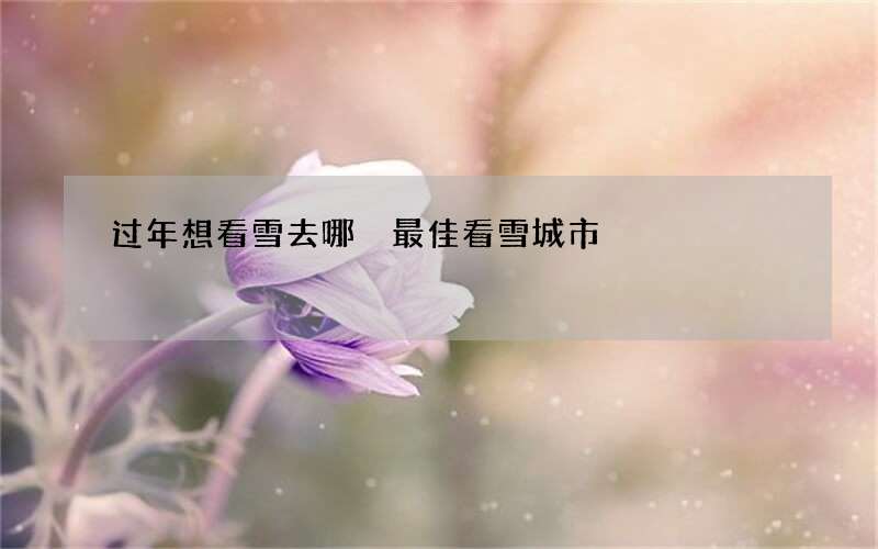 过年想看雪去哪 最佳看雪城市